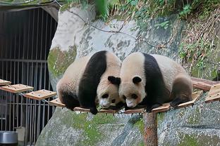 德天空：瓦茨克与凯尔在多特赛后在包厢讨论到凌晨